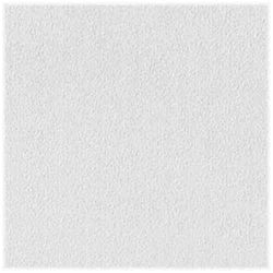 USG Ceilings Sheetrock Non-Directional 24 in. L X 24 in. W 0.5 in. Square Edge Ceiling Panel 1 pk