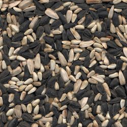 Kaytee Wild Bird Food 7 lb