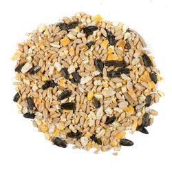 Nature's Nuts XtremeClean Wild Bird Food 5 lb