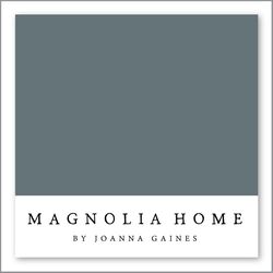 Magnolia Home by Joanna Gaines Storm Chaser MAG115