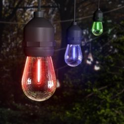 Feit LED String Lights w/Remote Control Multicolored 24 ft. 12 lights