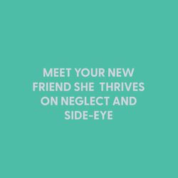 Chive Meet Your New Friend She Thrives on Neglect and Side-Eye Blank Greeting Card