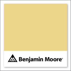 Benjamin Moore Laguna Yellow 291