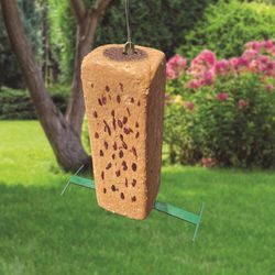 Hungrybird Wild Bird Treat Bar 17 oz