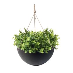 Algreen Acerra 21.7 in. H X 13.8 in. D Plastic Basket Hanging Bowl Planter Black