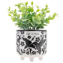 Karma 7 in. H X 6 in. L Black/White Ceramic/Plastic Hummingbird Footed Pot
