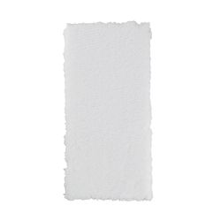 Minwax Refill 10 in. W Staining Pad For Floors