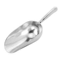 Houdini Silver Metal Ice Scoop