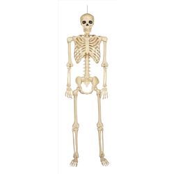 Seasons 60 in. Skeleton Halloween Decor