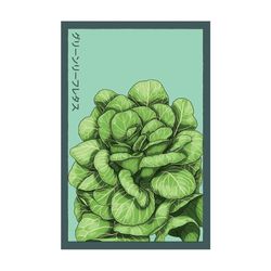 Chive Shido Seed Co. Green Leaf Lettuce Seeds 1 pk