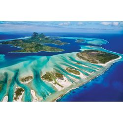 Eurographics Coral Reef Jigsaw Puzzles Multicolored 1000 pc