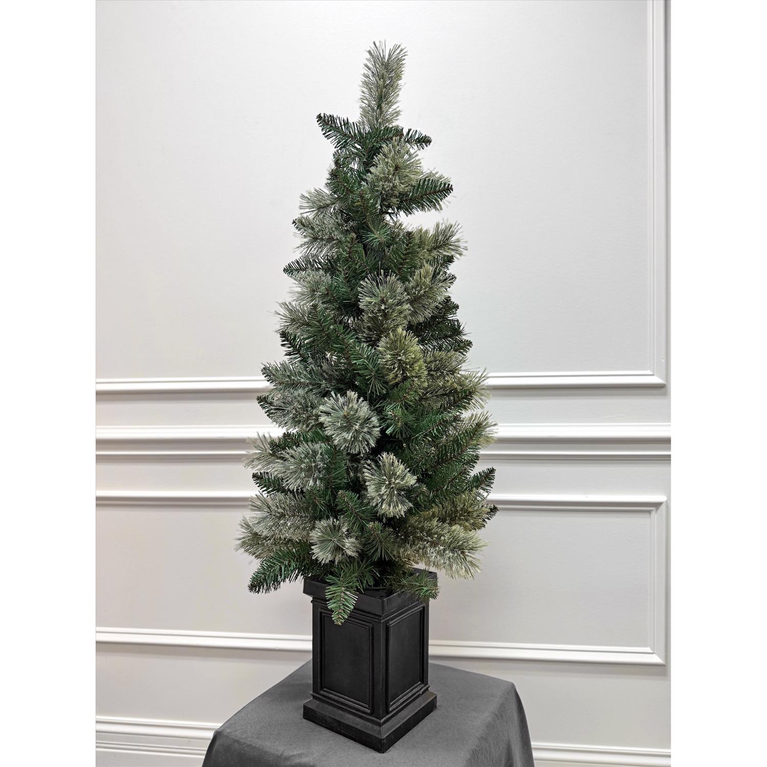 image-5