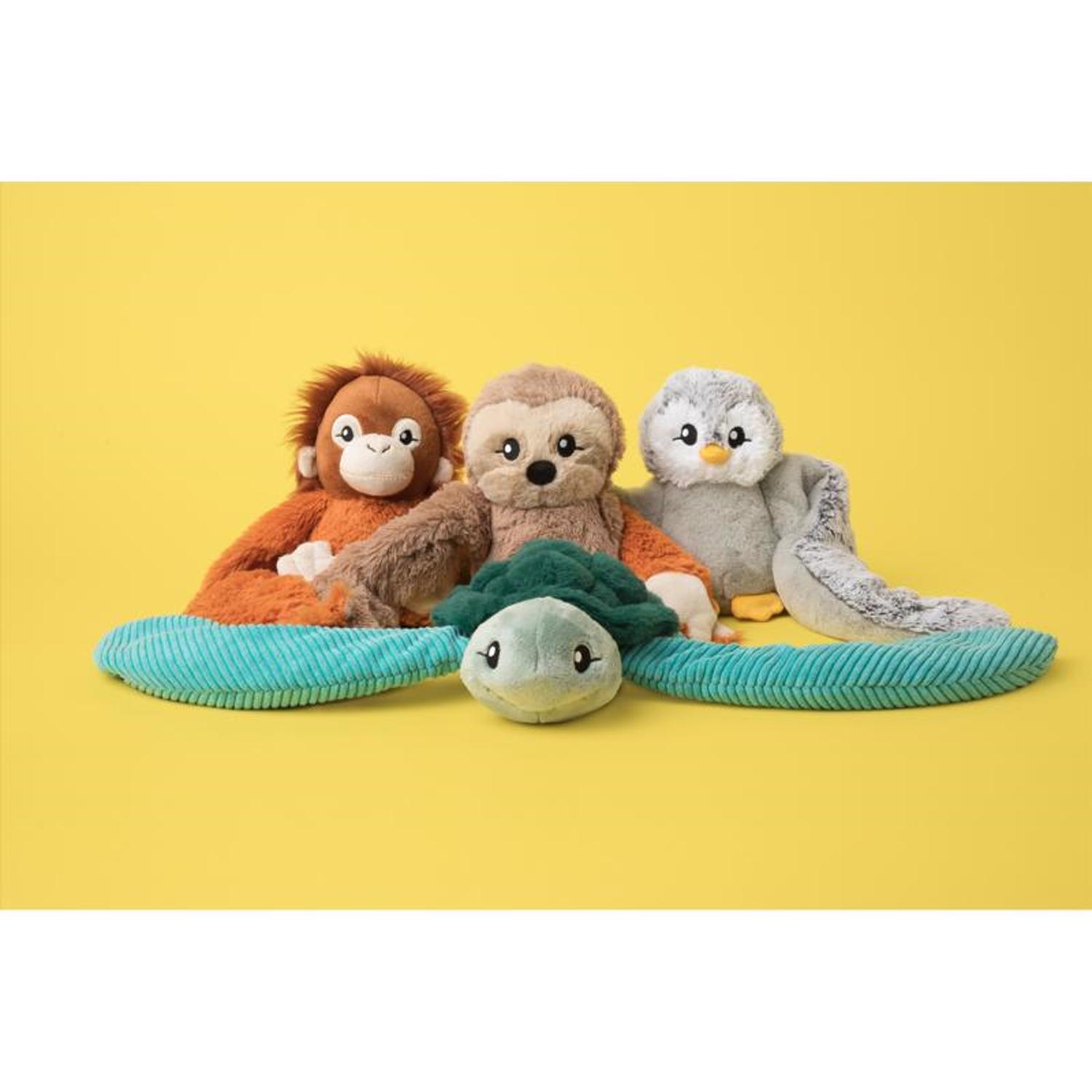 image-5