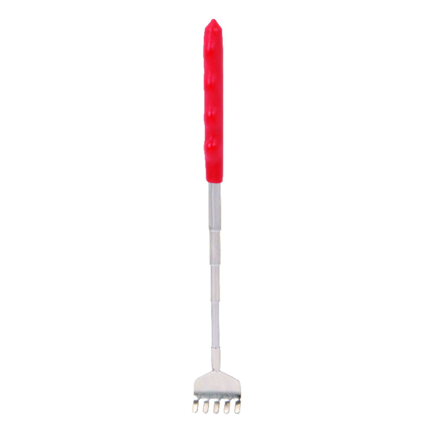 image-2