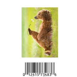 Avanti Press Greeting Cards