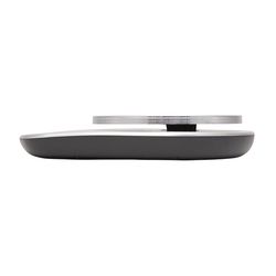 Taylor Silver Digital Kitchen Scale 11 lb