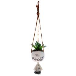 Karma 2 in. H X 2 in. L Multicolored Ceramic Hanging Succulent Pot