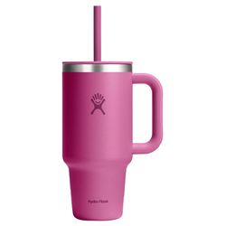 Hydroflask 32 fl. oz. Reef BPA Free Insulated Straw Tumbler
