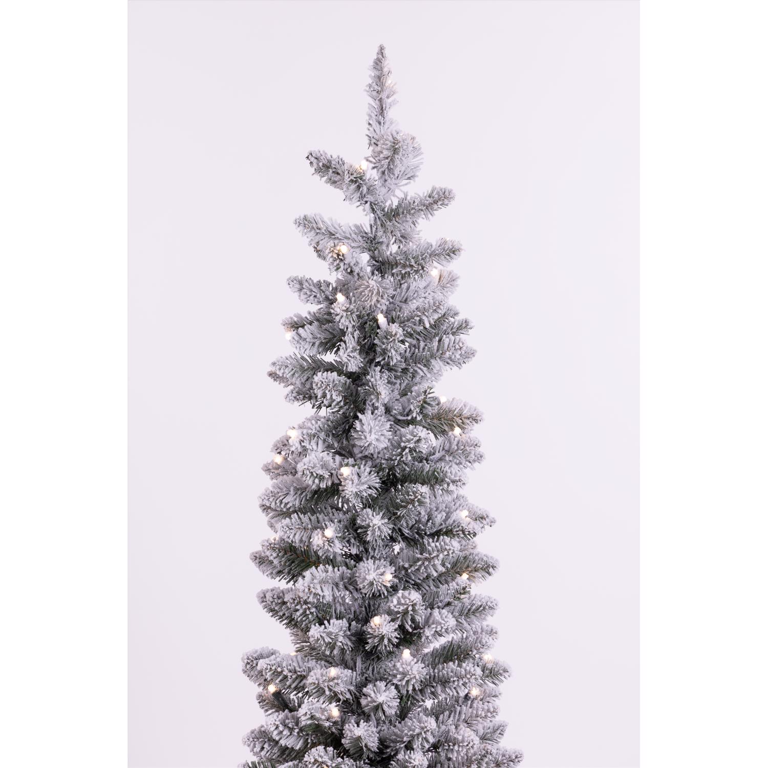 image-3