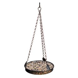 Backyard Essentials Songbird 0.9 qt Mesh Hanging Tray Bird Feeder
