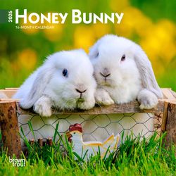 BrownTrout Publishers Honey Bunny 2026 Calendar