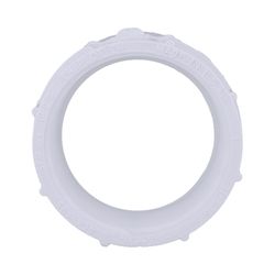 Charlotte Pipe Schedule 40 2 in. Hub X 2 in. D FPT PVC Pipe Adapter 1 pk