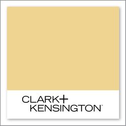 Clark+Kensington Lemon Pesto 22B-4