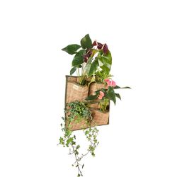 Austram 21.6 in. H X 19.6 in. W X 2 in. D Coco Fiber Wall Planter Natural
