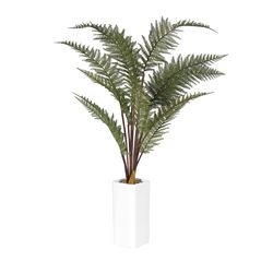 DW Silks 30 in. H X 20 in. W X 20 in. D Ceramic Fern Faux Plant White
