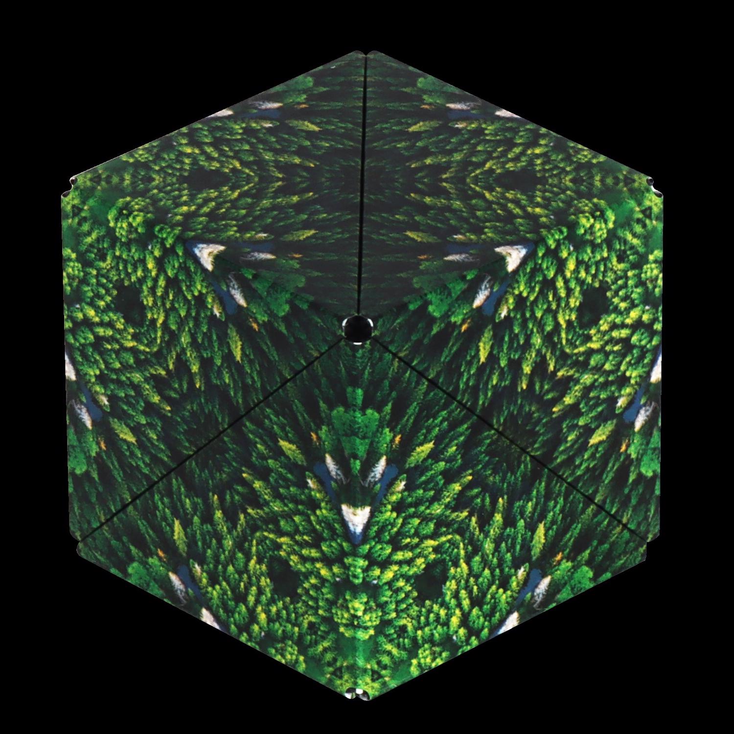 image-2