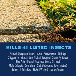 BioAdvanced Complete Insect Killer for Soil & Turf Granules 10 lb