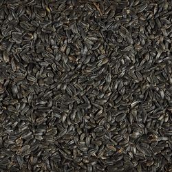 Ace Black Oil Sunflower Wild Bird Food 5 lb