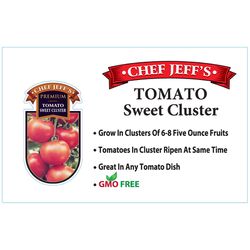 Chef Jeff Red Premium Sweet Cluster Tomato Vegetable Plant