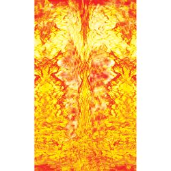 PineCar Body Skin Multicolored