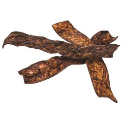 Redbarn All Size Dogs All Ages Rawhide Chips Beef 10 pk