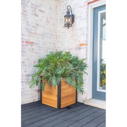Vita Mezza 22.5 in. H X 22 in. W X 22 in. D Cedar Planter Brown