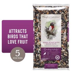 Songbird Selections Berry Burst with Mixed Nuts Wild Bird Food 5 lb