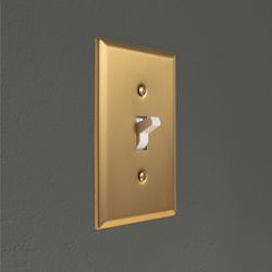 Amerelle Oxford Brushed Gold 2 gang Steel Toggle Wall Plate 1 pk