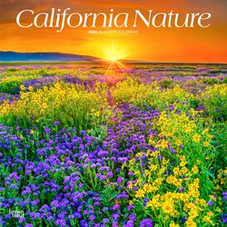 BrownTrout Publishers 2026 Square Flap .10 in. H X 12 in. L Multicolored Paper California Nature Cal