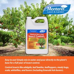 Monterey Once a Year Insect Control II Systemic Insecticide Liquid Concentrate 1 gal