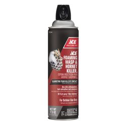 Ace Wasp and Hornet Killer Aerosol 17.5 oz