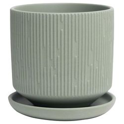 Chive Virago 3.3 in. D Ceramic Shape C Succulent Pot Olive