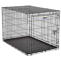 Pet Essentials Medium Steel Dog Crate 25 in. H X 23 in. W X 36 in. D