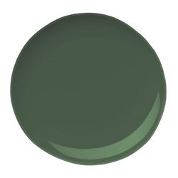 Beyond Paint Matte Forest Green Water-Based Paint Exterior and Interior 1 gal