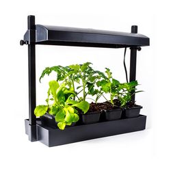 SunBlaster LED Hydroponic Grow Light 12 W