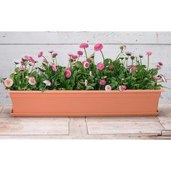 Novelty 6.4 in. H X 36 in. W X 8 in. D Plastic Countryside Flower Box Terracotta