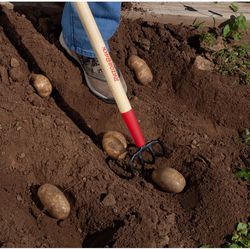 Razor-Back 4 Tine Steel Cultivator 54 in. Wood Handle