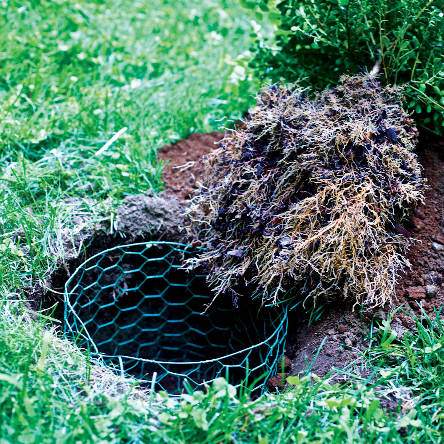 image-5