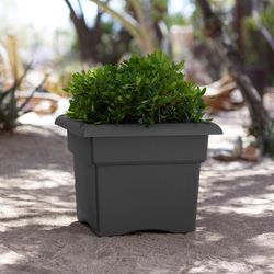 Bloem Veranda 14.25 in. H X 18 in. W X 18 in. D Plastic Traditional Planter Box Charcoal