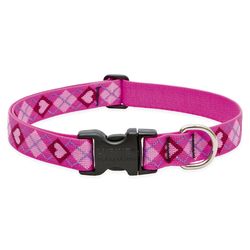 LupinePet Original Designs Multicolor Puppy Love Nylon Dog Adjustable Collar